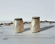 AnyesAttic Ceramic Vintage Cebu Clam Shell 'Mother of Pearl' and Silver Hinged Handmade Salt and Pepper Cruet Pots