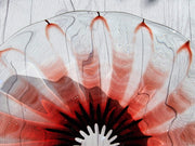 Kosta Boda Glass Glass 1950s Vicke Lindstrand 'Colora' att. series for Kosta, Modernist Red Gerbera Charger | Rare